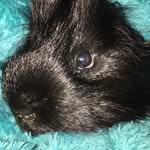 Norma Hinkle Robinson - @mustanglaney - Instagram