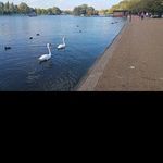 @norma_holland - Instagram