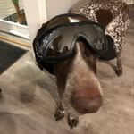 Norma - @norma.tort.hope - Instagram