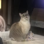 Norma Huber - @norma.huber.585 - Instagram