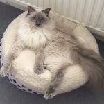 Norma hyde - @norma.hyde - Instagram