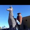 normaibanez229 - @normaibanez229 - TikTok