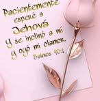 Norma Islas - Facebook