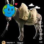 Norma Jauregui - @normabeatrizjauregui - Instagram