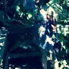 Norma Johnson - @norma.johnson17 - TikTok