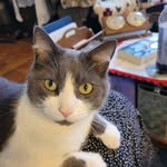 Norma White Johnston - @norma.johnston2 - Instagram