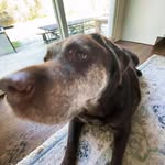 Jude Norman - @norman.jude1 - Instagram