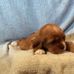 Norma Justice - Facebook