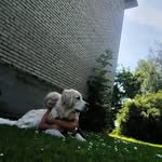 Anette Normak - @normakanette - Instagram