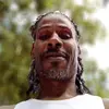 NormanKane215 - @normankane215 - TikTok