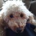Norma Kendall - Facebook