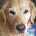 Norma Kent - Facebook