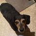 Norma Killian - Facebook