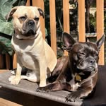 Norma Jean & Arthur Miller Kimball - @normajeanandarthurmiller - Instagram