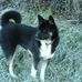 Norma Kirkpatrick - Facebook