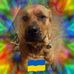 Norma Knight - Facebook