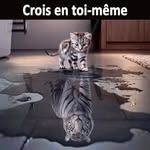 Norma Koch - @normakoch3 - Instagram