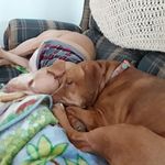 Norma Koenig - @norma.koenig.9 - Instagram