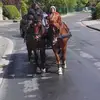 normankrueger452 - @normankrueger452 - TikTok