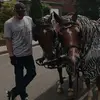norman.krueger - @norman.krueger - TikTok