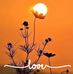 Norma Labra - Facebook
