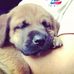 Norma Labra - Facebook