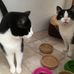 Norma Lacey - Facebook