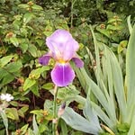 Norma Laird - @normalaird20 - Instagram