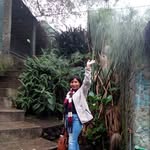 Norma Lamar - @norma.lamar.52 - Instagram