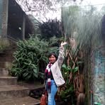 Norma Lamar - Facebook