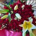 Norma Lara - Facebook