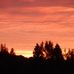Norma Larson - Facebook