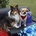Norma Law - Facebook
