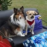 Norma Law - @kkl7776 - Instagram