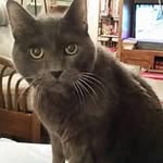 Norma Leigh Penn - @normapenn - Instagram