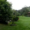 Norma Lídia - @norma.lidia - TikTok