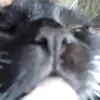 normalinkin - @normalinkin7 - TikTok
