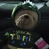 Norma little - @love_realone1 - TikTok