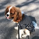 Norma Little Rose Gardith - @normakavalir - Instagram