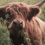 Norma Lockhart Keiller - @normakeiller - Instagram