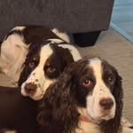 Norma Habe Lutz - @nl1959 - Instagram