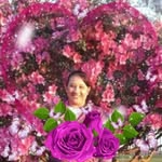 Norma Maciel - @normamaciel14 - Instagram