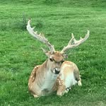 norma macpherson - @macpherson1479 - Instagram