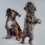Norma MacPherson - @normamacp - Instagram