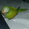 Norma Maina - @normamaina - TikTok