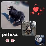 Norma Majano - Facebook