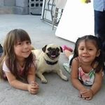 Norma Leal Mancha - @lealmancha - Instagram