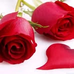 Norma Mancilla - Facebook