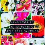 Norma Marchetti - @lanuevasanluis - Instagram