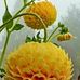 Norma Marte - Facebook